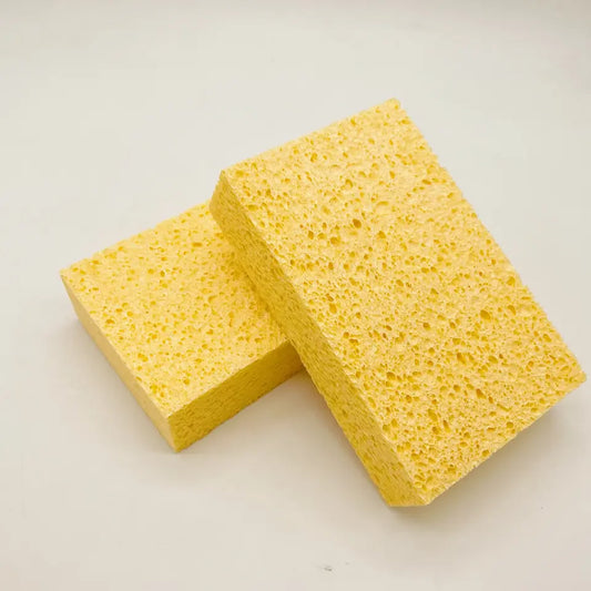 Sponges