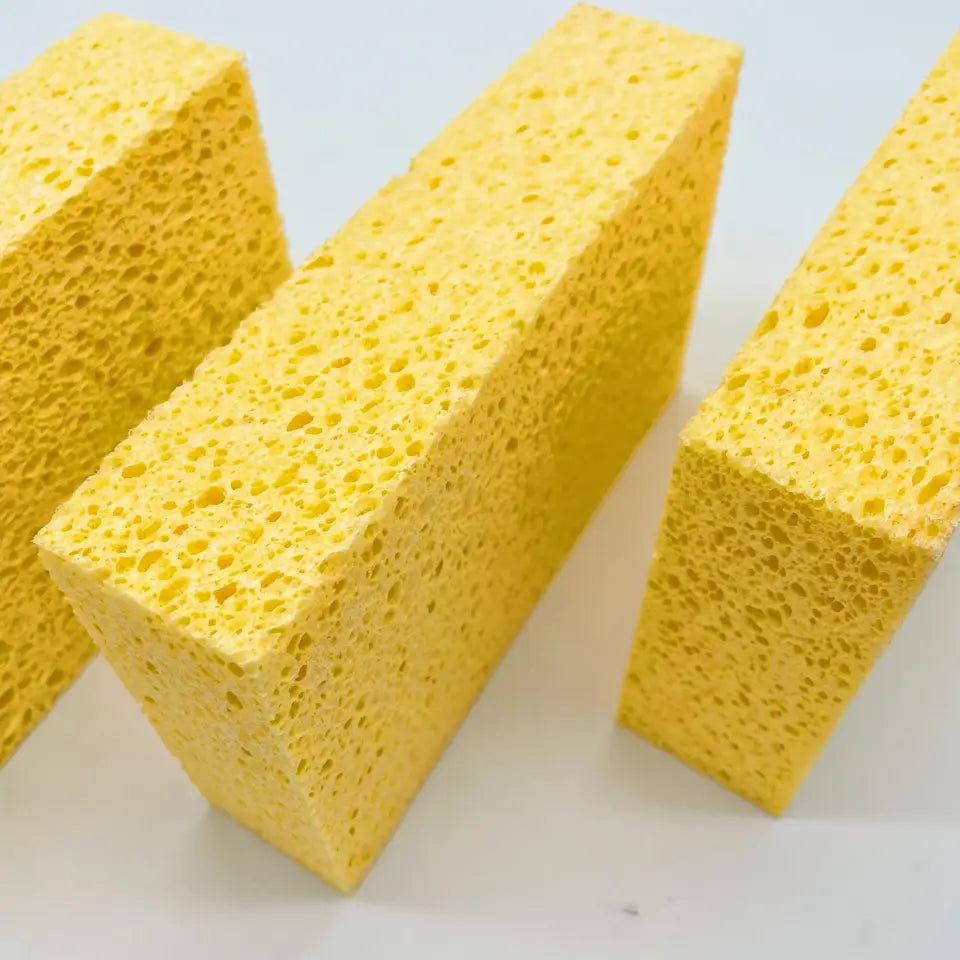 Sponges